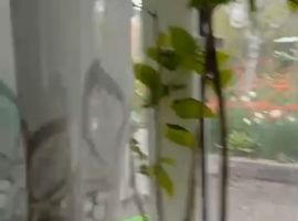 Дом в Ставропольский край, Железноводск ул. Строителей, 9 (50 м²) - Строителей. Железноводск - фото 8
