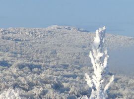 Дом в Ставропольский край, Пятигорск городской округ, пос. Свободы ул. Крутая, 45 (430 м²) - . пос. Свободы - фото 25