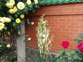 Дом в Ставропольский край, Пятигорск городской округ, пос. Свободы ул. Крутая, 45 (430 м²) - . пос. Свободы - фото 27