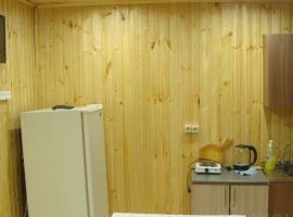 Дом в Свердловская область, Сысертский муниципальный округ, с. Черданцево ул. Чапаева, 66 (70 м²) - Чапаева. с. Черданцево - фото 4