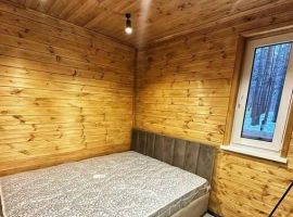 Дом в Пензенская область, Пензенский район, Золотаревка муниципальное образование, Золотаревка рп ул. Лесная, 69 (100 м²) - Подлесная.  - фото 5