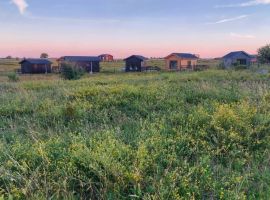 Дом в Новгородская область, Старорусский район, Наговское с/пос, д. Ретле ул. Угловая, 1 (24 м²) - Угловая.  - фото 8