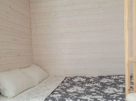 Дом в Нижегородская область, Бор муниципальный округ, с. Кантаурово ул. Кооперативная (25 м²) - Новокооперативная.  - фото 5