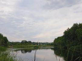 Дом в Липецкая область, Хлевенский район, с. Синдякино ул. Каштановая, 8А (500 м²) - Каштановая.  - фото 32