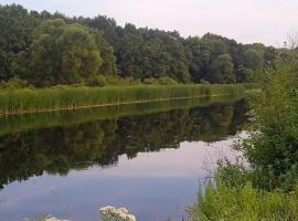 Дом в Липецкая область, Хлевенский район, с. Синдякино ул. Каштановая, 8А (500 м²) - Каштановая.  - фото 34