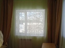 Дом в Липецкая область, Хлевенский район, с. Синдякино ул. Каштановая, 8А (500 м²) - Каштановая.  - фото 7