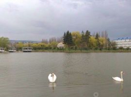 Дом в Ставропольский край, Предгорный муниципальный округ, пос. Нежинский ул. Веселая, 6 (200 м²) - .  - фото 24