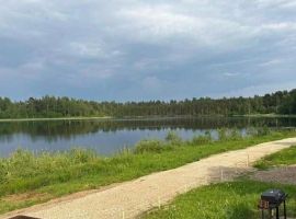 Дом в Псковская область, Островский район, Горайская волость, д. Боровские ул. Береговая, 3 (15 м²) - Береговая (ТСГ N 709 тер).  - фото 18
