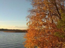 Дом в Ленинградская область, Приозерский район, Ларионовское с/пос, пос. Ларионово ул. Озерная, 38 (98 м²) - Озерная (18 км Московского шоссе тер.).  - фото 25
