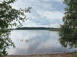 Дом в Ленинградская область, Приозерский район, Ларионовское с/пос, пос. Ларионово ул. Озерная, 38 (98 м²) - Озерная (18 км Московского шоссе тер.).  - фото 4