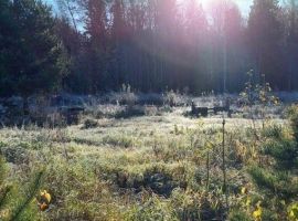 Дом в Ленинградская область, Выборгский район, Красносельское с/пос, пос. Коробицыно ул. Прямая, 18 (170 м²) - .  - фото 41