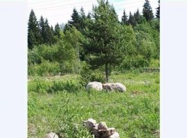 Дом в Ленинградская область, Выборгский район, Красносельское с/пос, пос. Коробицыно ул. Прямая, 18 (170 м²) - .  - фото 5