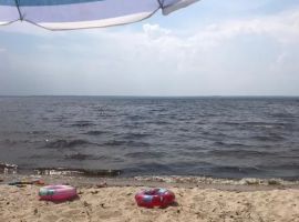 Дом в Нижегородская область, Сокольский муниципальный округ, с. Дорофеево ул. Дружбы, 3 (250 м²) - Дружбы Народов.  - фото 29