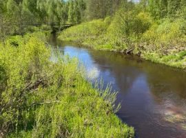Дом в Нижегородская область, Сокольский муниципальный округ, с. Дорофеево ул. Дружбы, 3 (250 м²) - Дружбы Народов.  - фото 30