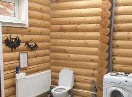 Дом в Нижегородская область, Сокольский муниципальный округ, с. Дорофеево ул. Дружбы, 3 (250 м²) - Дружбы Народов.  - фото 4
