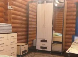Дом в Нижегородская область, Сокольский муниципальный округ, с. Дорофеево ул. Дружбы, 3 (250 м²) - Дружбы Народов.  - фото 6