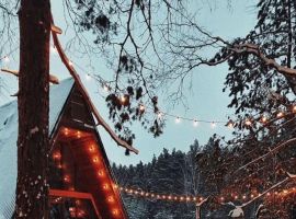 Дом в Тюменская область, Тюменский район, д. Ушакова, Елки кп ул. Калиновая, 65 (60 м²) - .  - фото 1