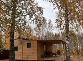Дом в Тюменская область, Тюменский район, Маяк СНТ ул. Сосновая, 219 (30 м²) - Сосновая.  - фото 14