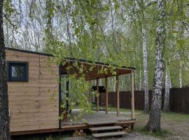 Дом в Тюменская область, Тюменский район, Маяк СНТ ул. Сосновая, 219 (30 м²) - Сосновая.  - фото 15
