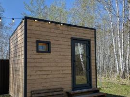 Дом в Тюменская область, Тюменский район, Маяк СНТ ул. Сосновая, 219 (30 м²) - Сосновая.  - фото 17