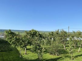 Дом в Ставропольский край, Предгорный муниципальный округ, пос. Нежинский ул. 4-я Линия, 245 (53 м²) - 4-я линия (ДНТ Степной садовод тер.).  - фото 1