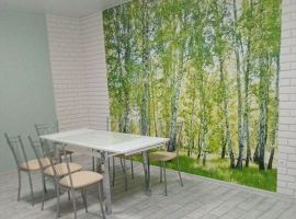 Дом в Краснодарский край, Мостовской пгт ул. Набережная, 36 (107 м²) - Набережная (Орлов Овраг тер.).  - фото 8
