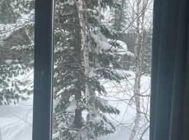Дом в Кемеровская область, Таштагольский муниципальный округ, Шерегеш пгт ул. Таежная, 73 (85 м²) - Таежная (СНТ Нижние дойки-массив N3 тер..  - фото 15