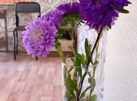 Дом в Иркутская область, Ольхонский район, пос. Хужир ул. Таежная, 23 (20 м²) - Таежная (СНТ Нижние дойки-массив N3 тер..  - фото 3