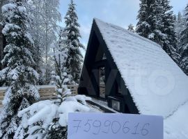 1-к. дом, 48 м² - Центральная (19 км Московского шоссе тер. Агалатово - фото 32