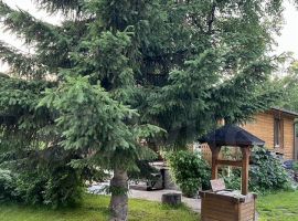 3-к. дом, 170 м² - . Елизово - фото 27