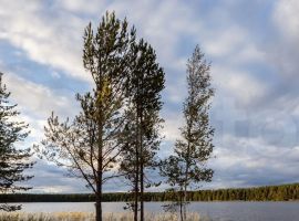 3-к. дом, 55 м² - . Приозерск - фото 30