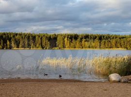 3-к. дом, 55 м² - . Приозерск - фото 31