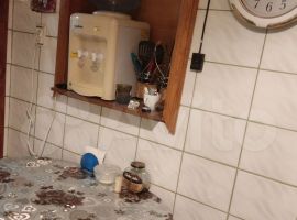 2-к. дом, 40 м² - Калинина (ГК N 793 тер). Миллерово - фото 2