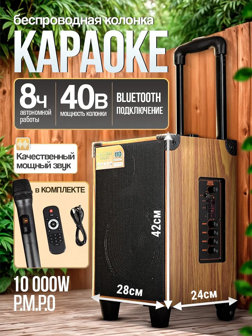 Портативная беспроводная Bluetooth колонка Sing-e CHAMADON 2, Черный