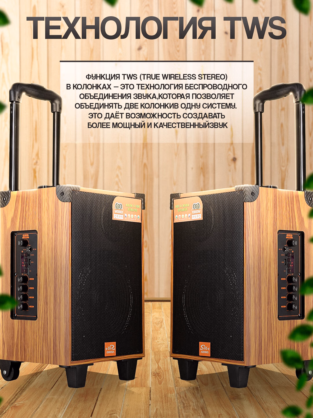 Portativ karaoke kalonka, simsiz kalonka с микрофоном Bluetooth, с пультом - 4