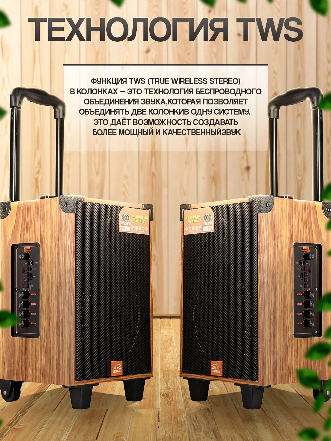Portativ karaoke kalonka, simsiz kalonka с микрофоном Bluetooth, с пультом