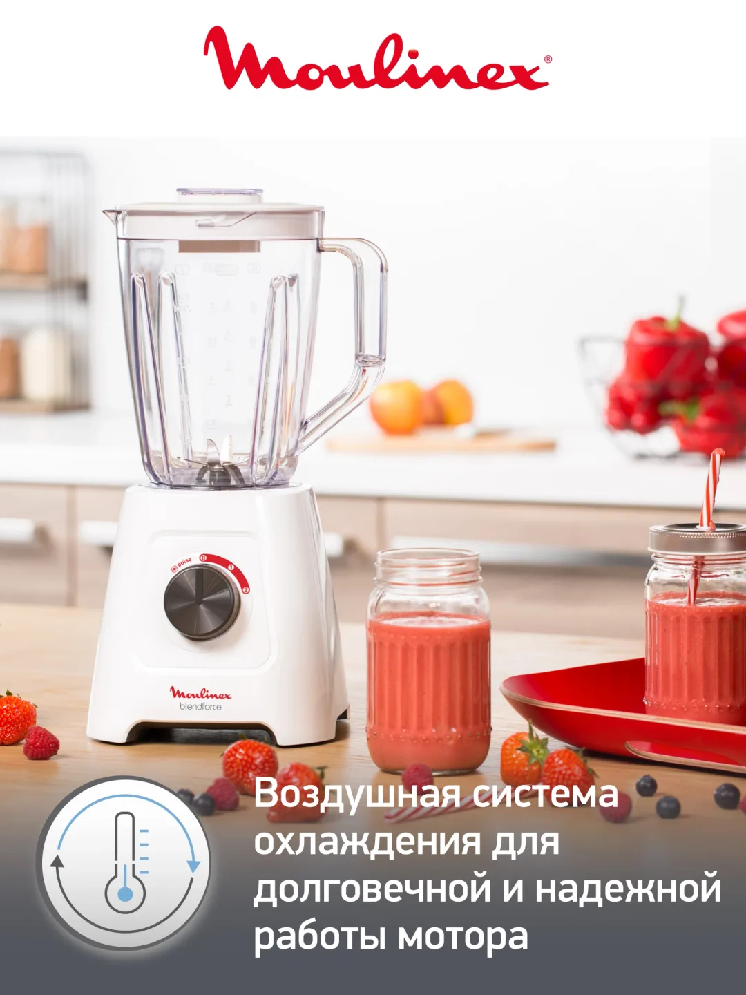 Statsionar blender Moulinex Blendforce, 600 Vt, oq