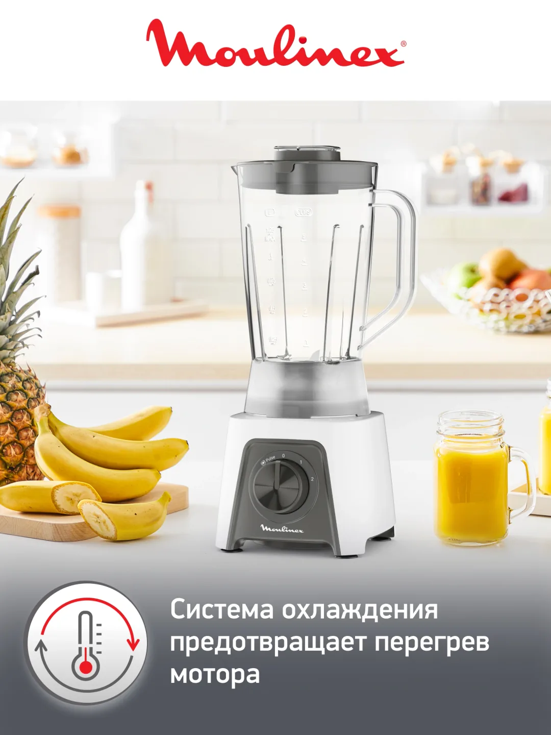 Statsionar blender Moulinex AT-21046, 450 Vt, oq