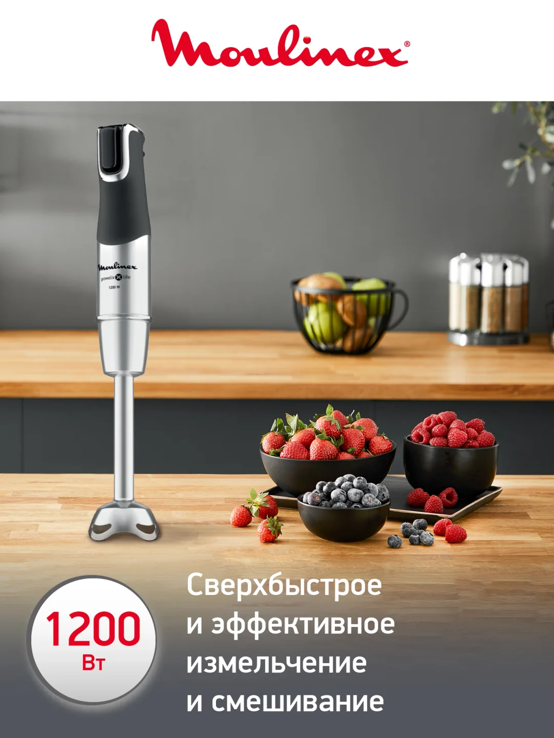 Qo'l blenderi Moulinex PowerMix Life, 1200 Vt, qora-kumushrang