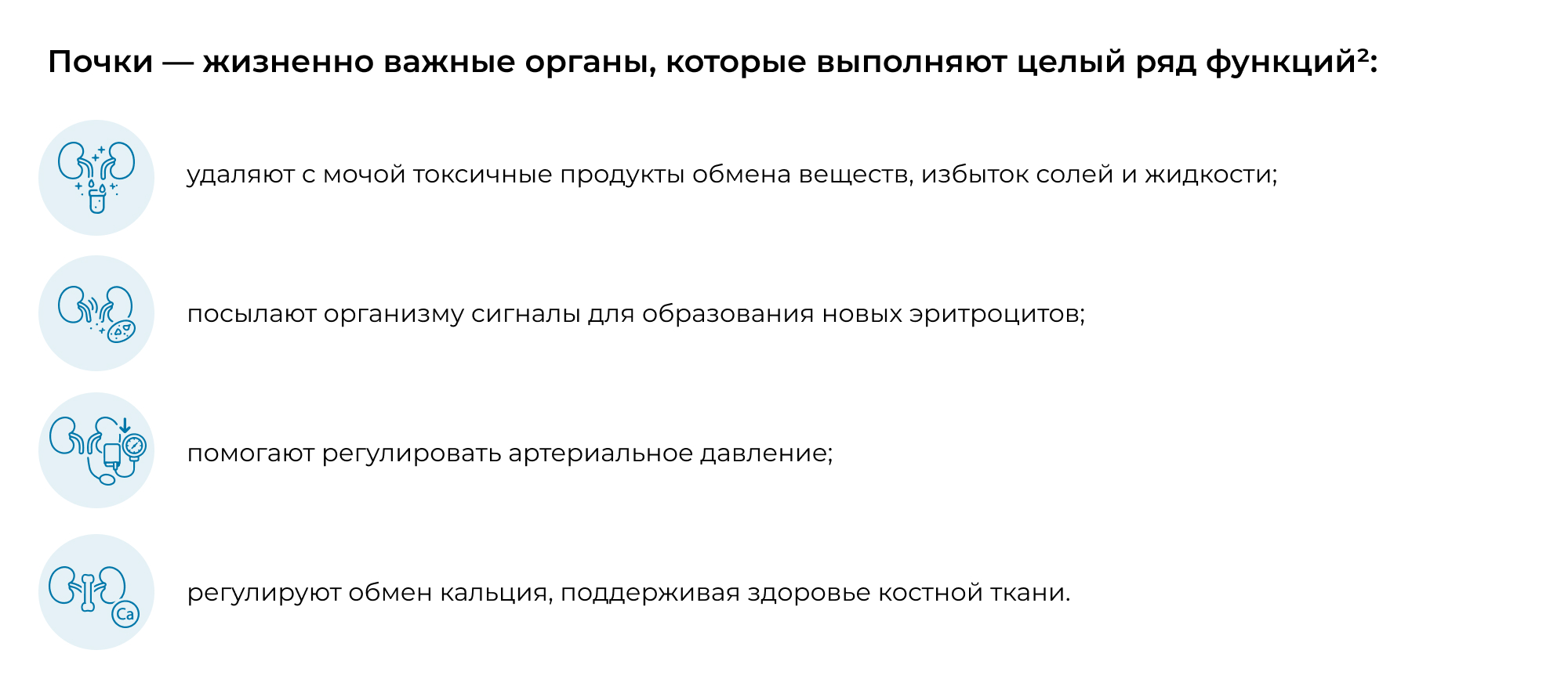 Как работают почки и что происходит при ХБП
