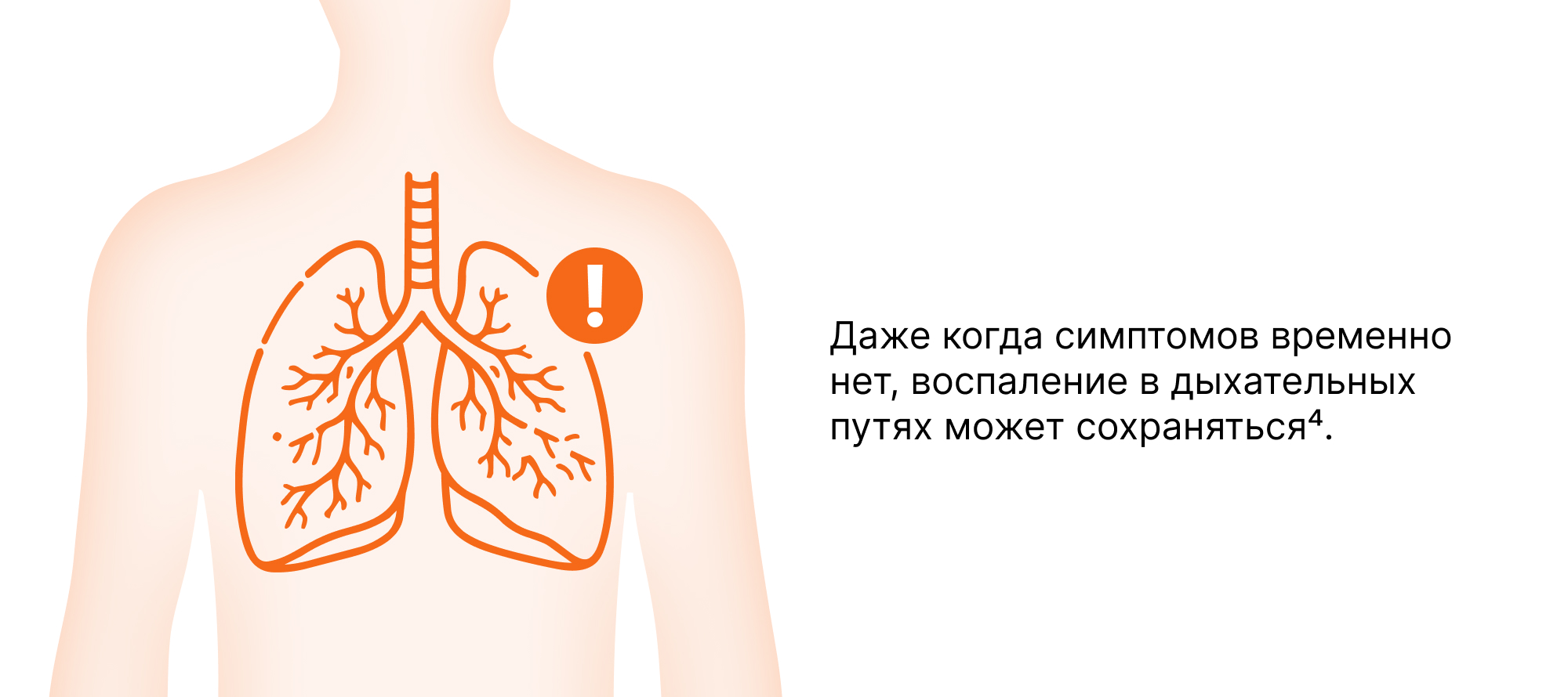 Изображение слайда