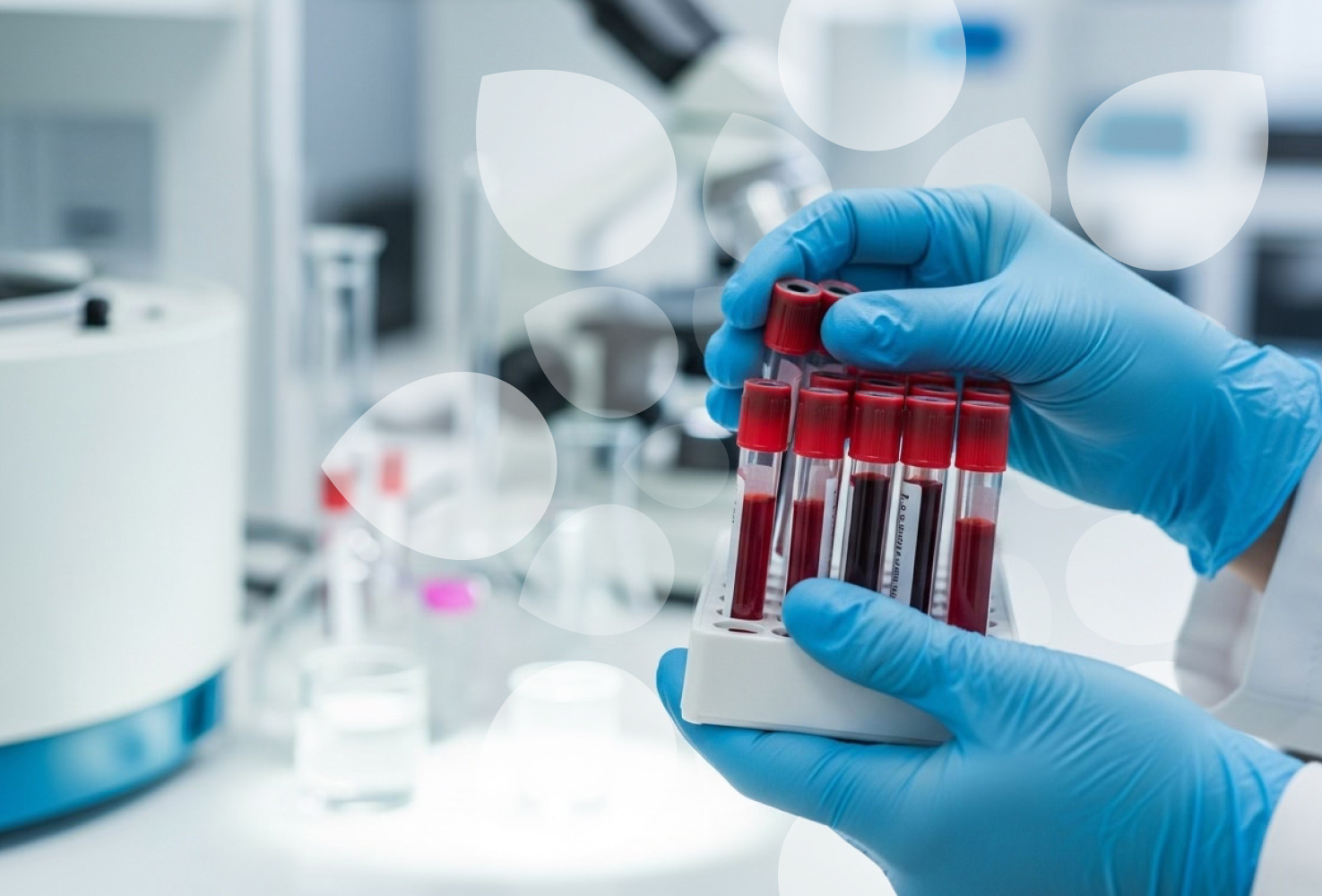 Заголовок статьи 1