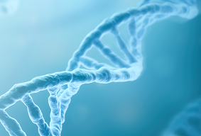 Заголовок статьи 1