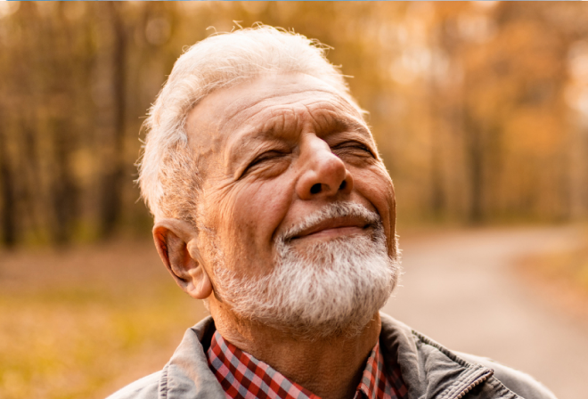 Заголовок статьи 1