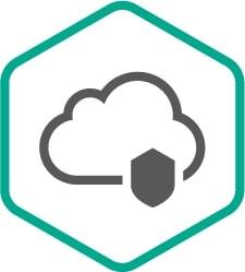 Право на использование Kaspersky  Endpoint Security Cloud, User Russian Edition. 100-149 Workstation / FileServer; 200-298 Mobile device 2 year Cross-grade License KL4742RARDW KL4742RARDW