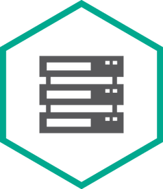 Право на использование Kaspersky  Security для систем хранения данных, Server Russian Edition. 3 - FileServer 1 year Educational License KL4222RACFE KL4222RACFE