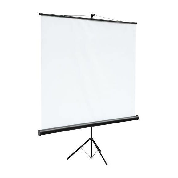 Экран для проектора Digis DSKC-1102 Kontur-С, формат 1:1, 100", 180*180, MW DSKC-1102 DSKC-1102