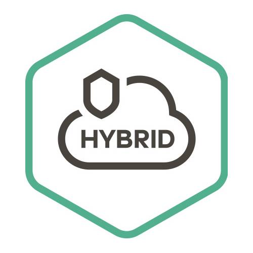 Право на использование Kaspersky Security для виртуальных и облачных сред, Desktop Russian Edition. 5000+ VirtualWorkstation 1 year Renewal License KL4155RAYFR KL4155RAYFR