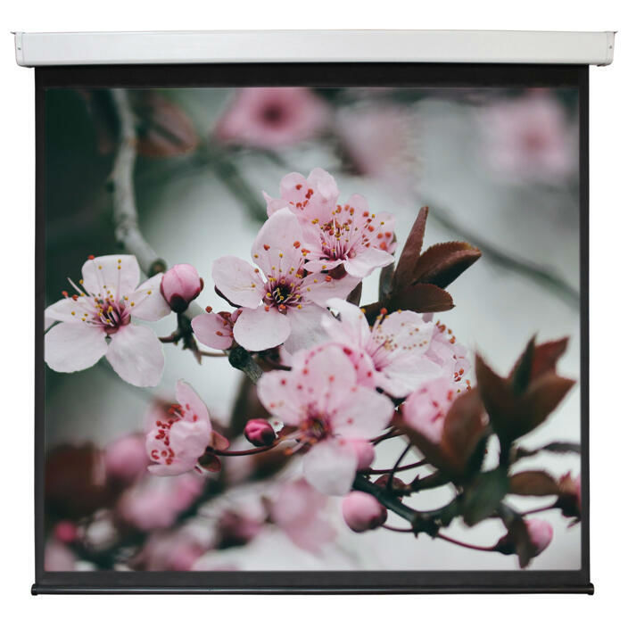 Экран для проектора Digis DSEF-1109 Electra-F,настенный с электроприводом, формат 1:1, 156" (288x291), MW, DSEF-1109 DSEF-1109