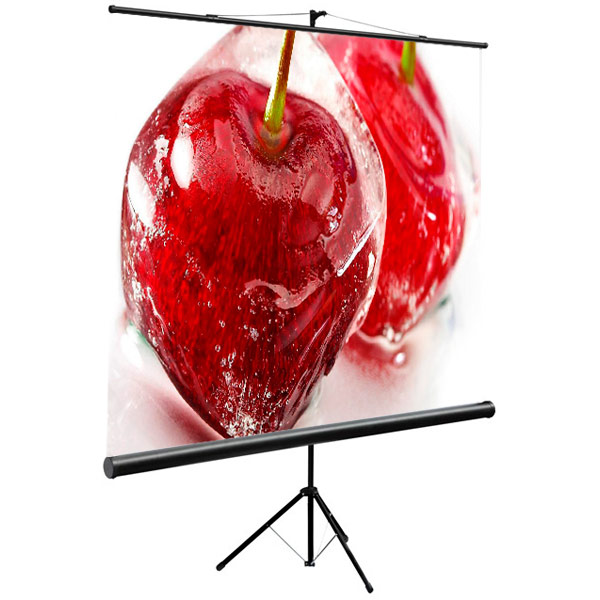 Экран для проектора Digis DSKC-1101 формат 1:1 160х160 MW DSKC-1101 DSKC-1101